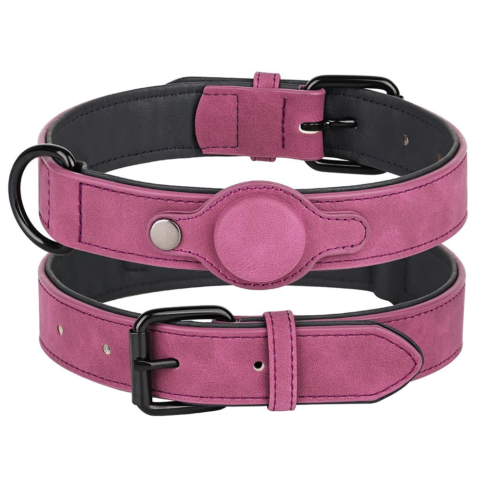 Dog Collar With Tracker Holder