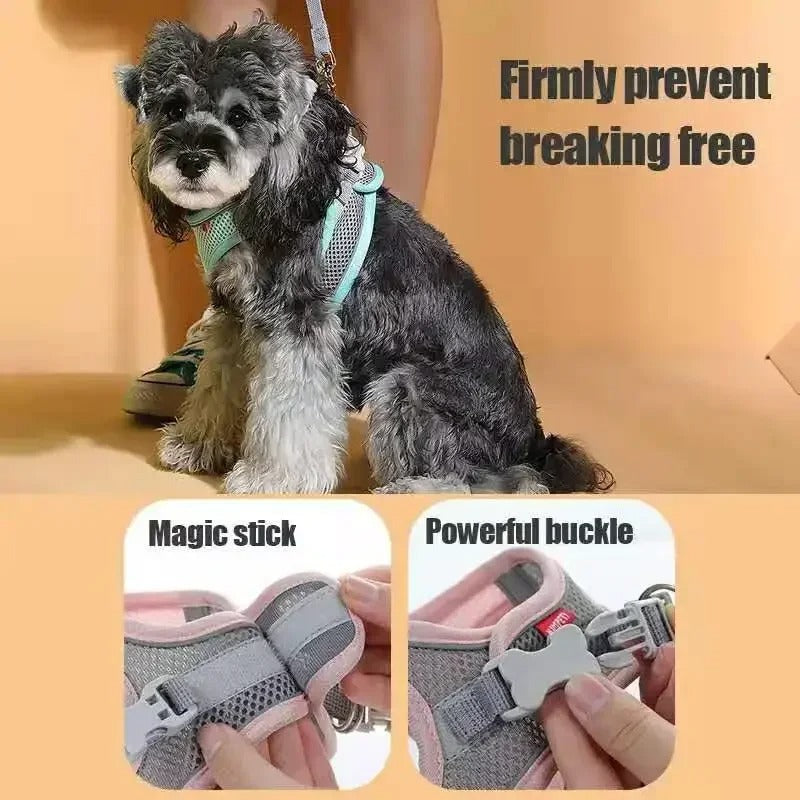 Safety Harness with Rope for Pets
