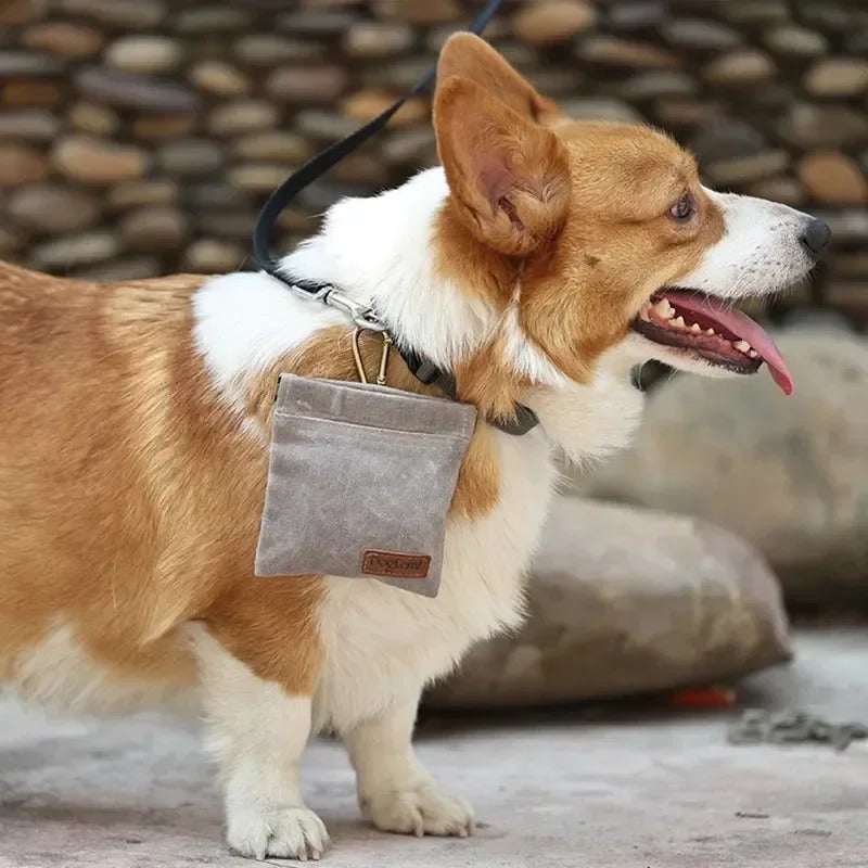Pet Training Treat Bag