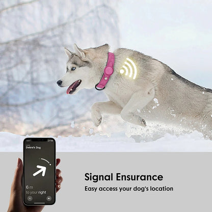 Dog Collar With Tracker Holder