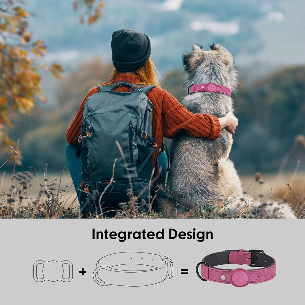 Dog Collar With Tracker Holder