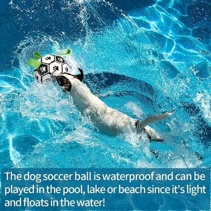The Ultimate Dog Soccer Ball with Grip Rings