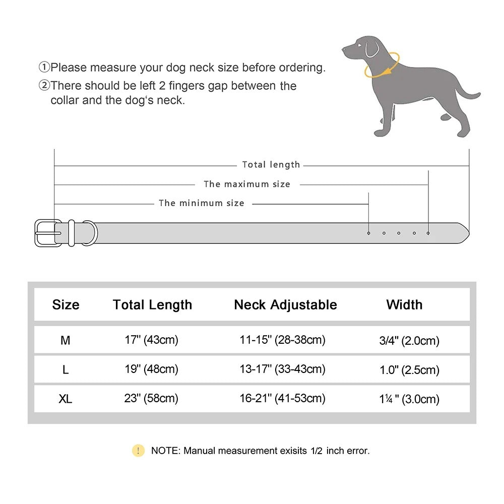 Dog Collar With Tracker Holder