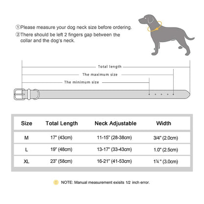 Dog Collar With Tracker Holder